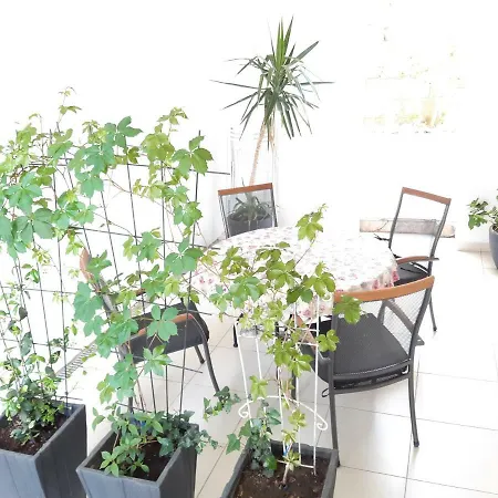Kule Apartment *